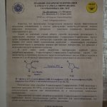 VI Конференция